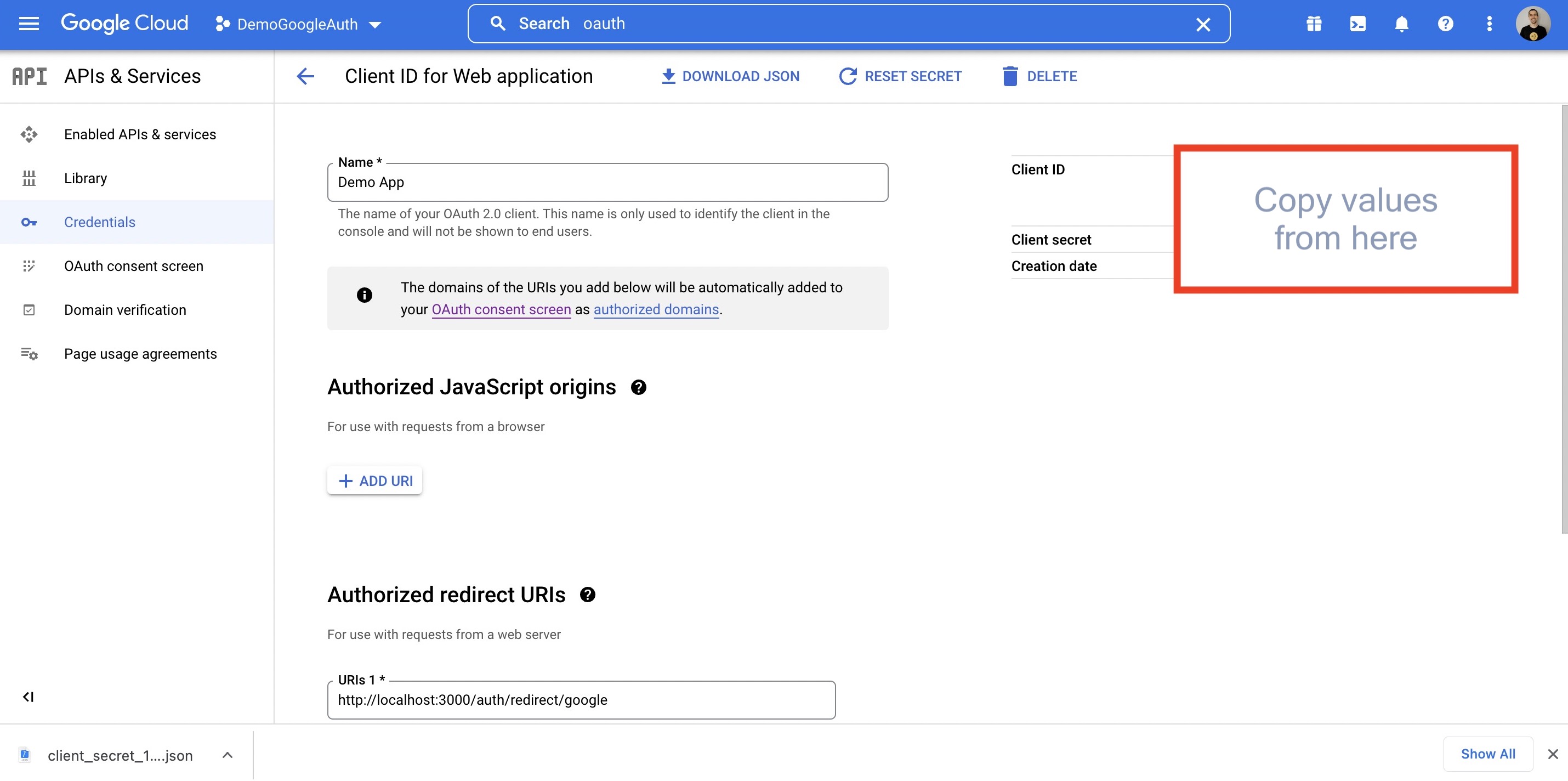 Google Console Screenshot 14